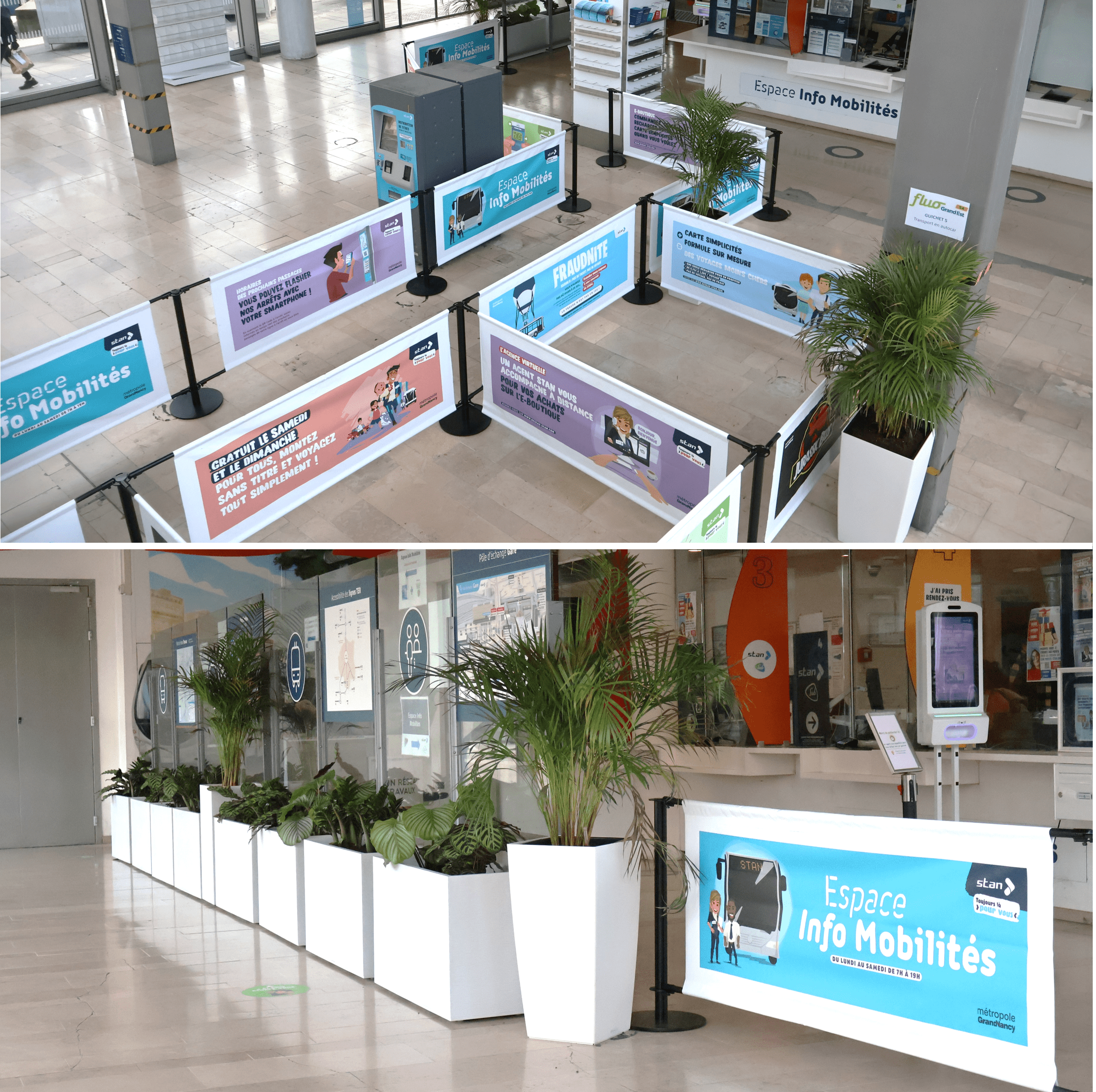 Bâches et plantes à l'Espace Info Mobilités