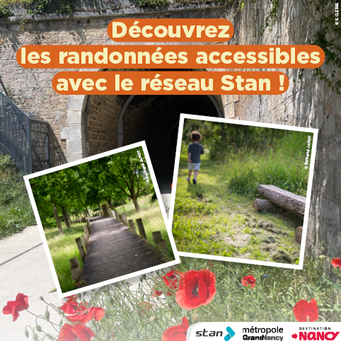 Découvrez les randonnées accessibles avec le réseau Stan 