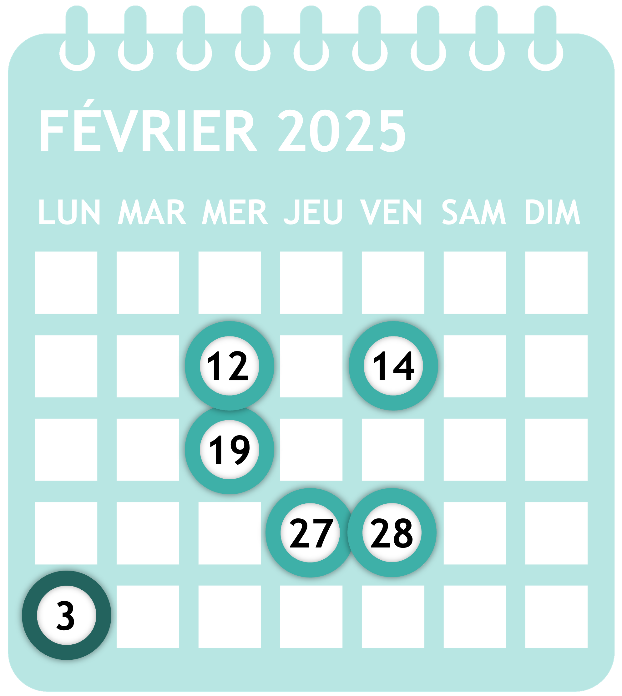 Calendrier newsletter février 2025
