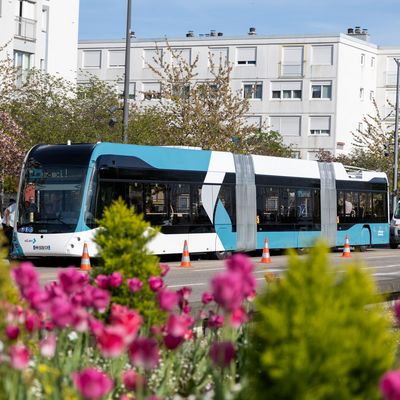 Grand défilé de Saint-Nicolas le 7 décembre : navettes gratuites entre le Parc Expo et Nancy Gare de 14h30 à 22h30 toutes les 10 minutes.